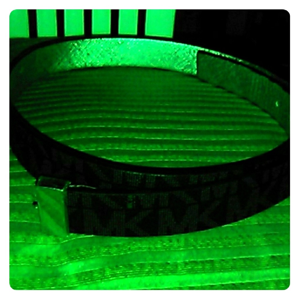 Belt